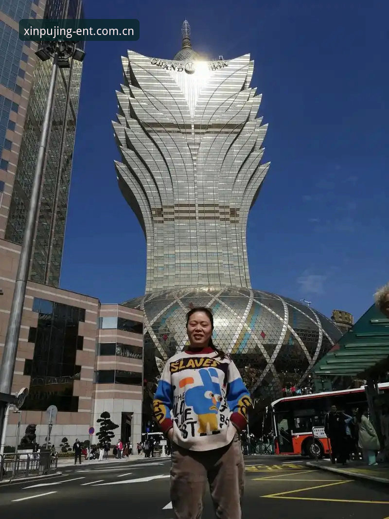新莆京娱乐平台推荐最新版详解：新手快速上手全攻略